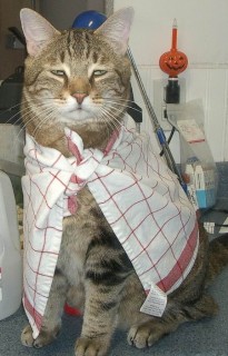 Super Garrison Small Web view.jpg